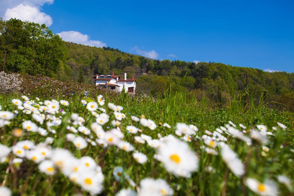 Militsa Guesthouse Naousa  Luaran gambar