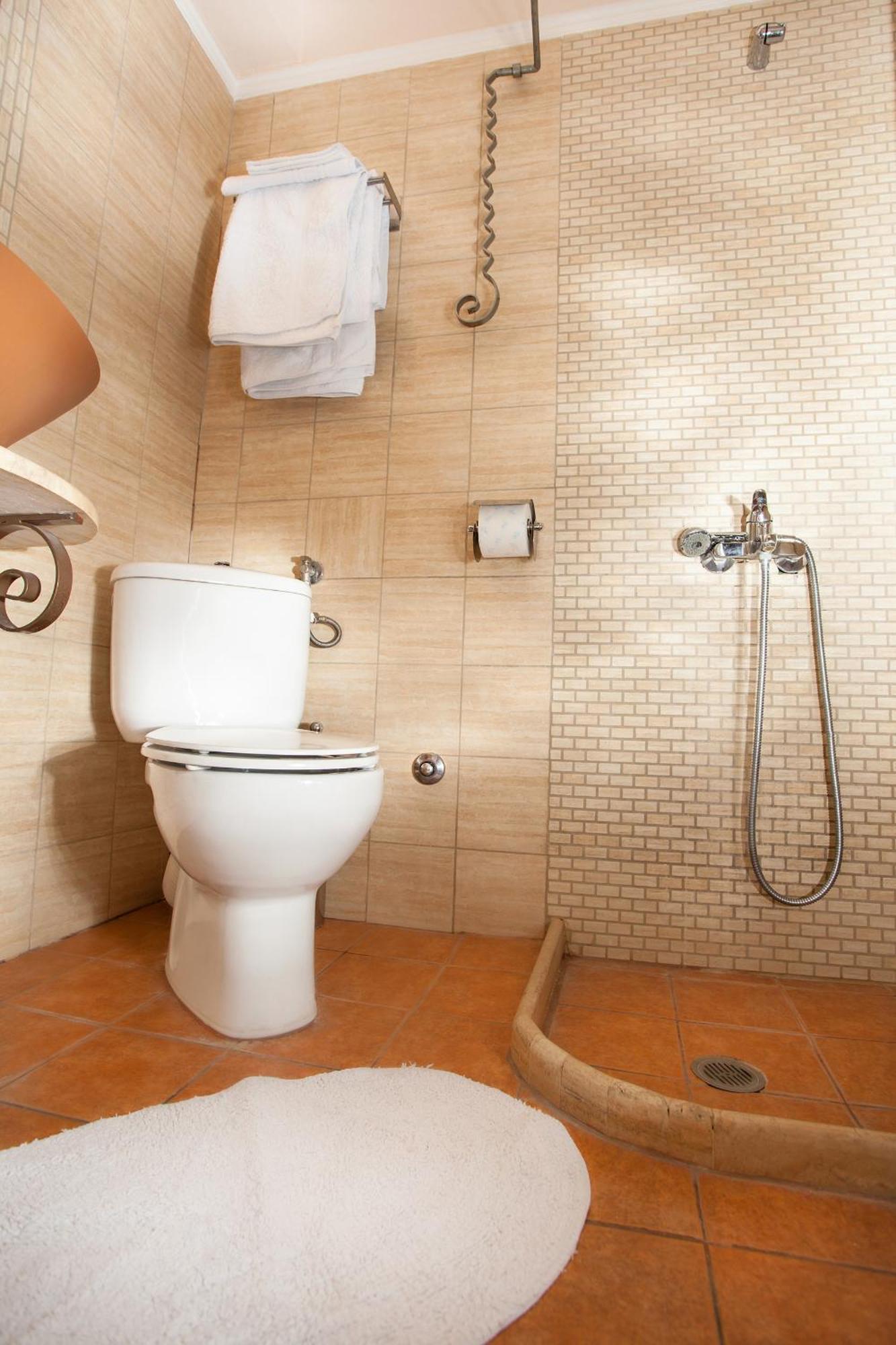 Militsa Guesthouse Naousa  Bilik gambar