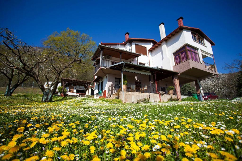 Militsa Guesthouse Naousa  Luaran gambar