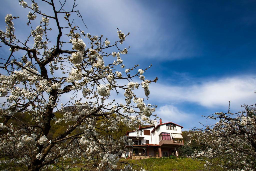 Militsa Guesthouse Naousa  Luaran gambar